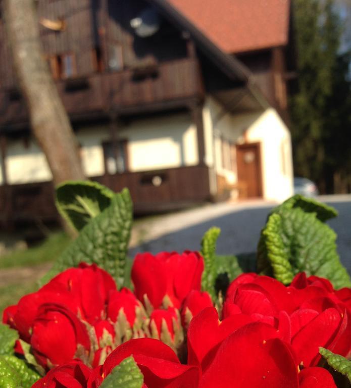 Pomona Relaxing Nature Guest House Rogaška Slatina Exteriér fotografie