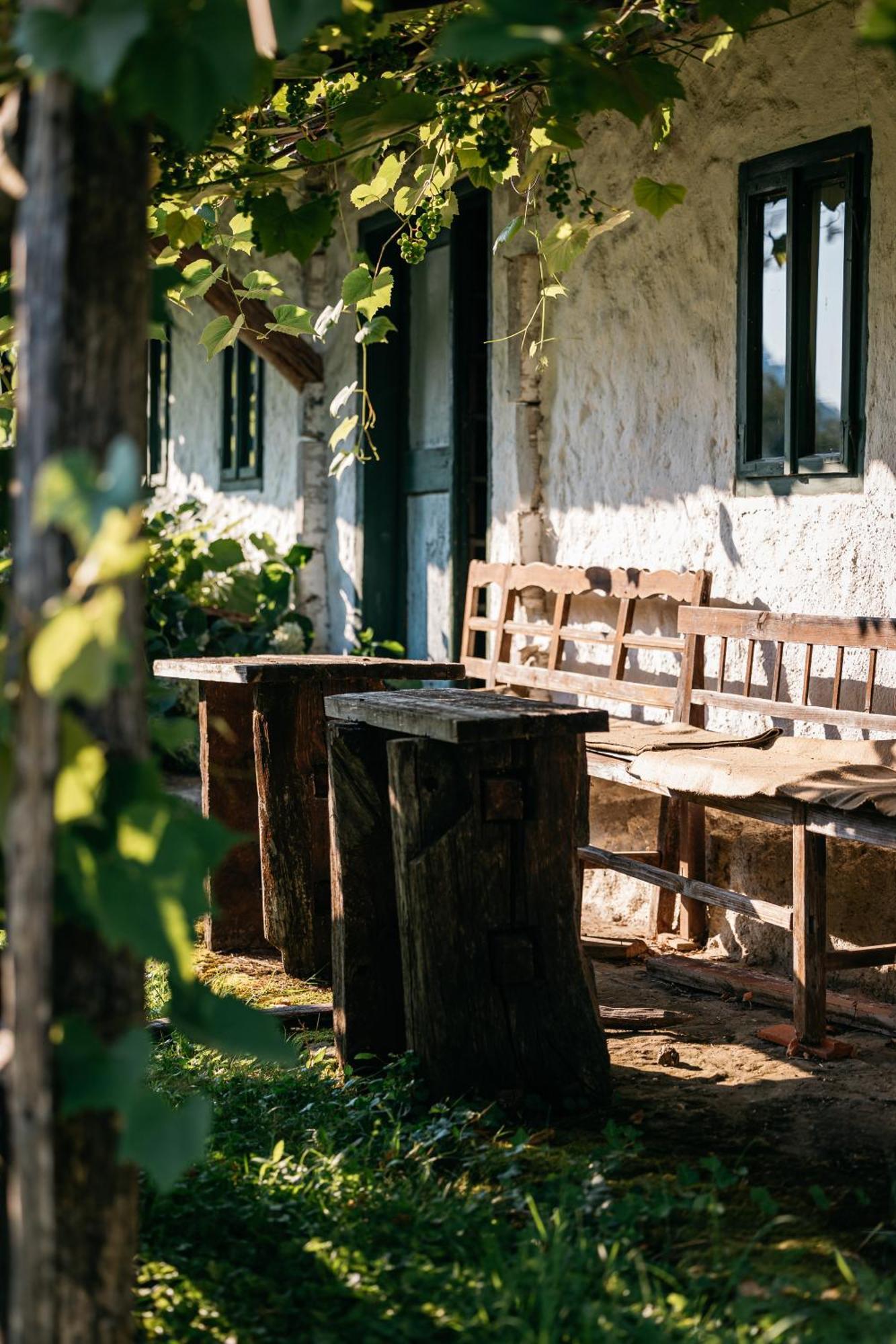 Pomona Relaxing Nature Guest House Rogaška Slatina Exteriér fotografie