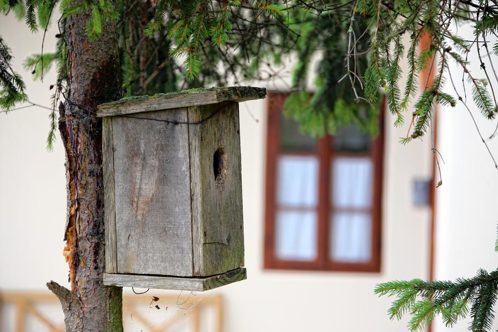 Pomona Relaxing Nature Guest House Rogaška Slatina Exteriér fotografie